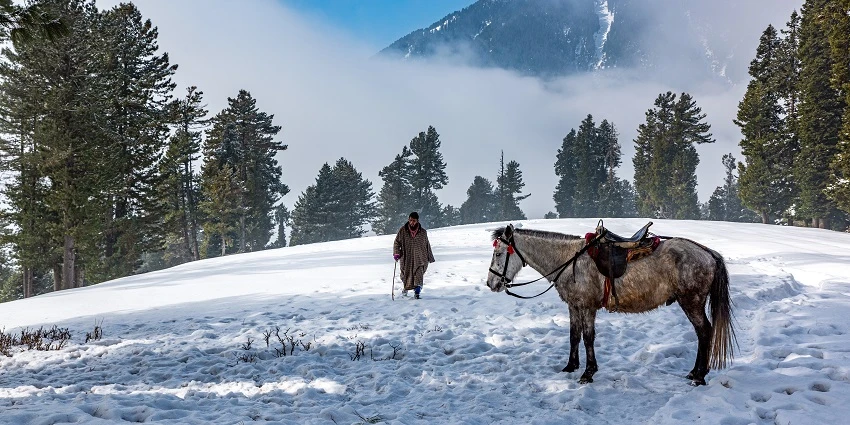 Pony Riding in Pahalgam